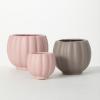 imageSullivans Warm Ribbed Container  Set of 3 Indoor Planter Pot Kitchen Living Room and Office Home Dcor
