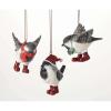 imageSullivans Winter Bird Ornaments  Set of 3  Holiday Birds in Winter Gear Ornaments for Holiday Decor  Animal Christmas Tree Ornaments