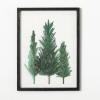 imageSullivans Gold Speckled Green Pine Tree Watercolor Canvas Wall Art 18quot x 24quot Black Framed Rustic Vintage Forest Artwork Decoration for Office Living and Dining Rooms Holiday Wall Art Dcor183L x 13W