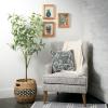 imageSullivans Wall Decor Wall Art Plant Shadow Box Set of 3 12quot Single Plants Ivory Back Shadow Box Effect Wood Frame Rustic Textured Decorations Hanging Art for Bedroom Office Home Dcor