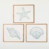 imageSullivans Wall Dcor Wall Art Coastal Seashell 24quot Beach Coastal Decor Soft Blue Illustration Sea Shells Icon with Wood Frame Rustic Artwork Decorations Hanging Art for Bedroom Office Home Bathroom