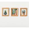 imageSullivans Wall Decor Wall Art Plant Shadow Box Set of 3 12quot Single Plants Ivory Back Shadow Box Effect Wood Frame Rustic Textured Decorations Hanging Art for Bedroom Office Home Dcor