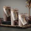 imageSullivans Ritz Timber Pillar Set of 2 CleanBurning EnvironmentallyFriendly Scentless Real Wax Candles