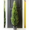 imageSullivans 0571POT Decorative Fiddle Leaf Tree Artificial Potted Plant Green 5 Feet x 27 InchEvergreen