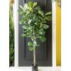 imageSullivans 0571POT Decorative Fiddle Leaf Tree Artificial Potted Plant Green 5 Feet x 27 InchFiddle Leaf