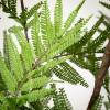 imageSullivans Fake Plant Potted Fern Artificial Tree Indoor 5 ft Faux LifeLike Greenery Plant in Pot 62quot Perfect for Living Room Home and Office Dcor