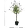 imageSullivans Fake Plant Potted Lavender Artificial Tree Indoor Topiary Bush 3 ft Faux LifeLike Greenery Plant in Pot 37quot Perfect for Living Room Home and Office Dcor