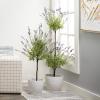 imageSullivans Fake Plant Potted Lavender Artificial Tree Indoor Topiary Bush 3 ft Faux LifeLike Greenery Plant in Pot 37quot Perfect for Living Room Home and Office Dcor