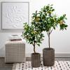 imageSullivans Fake Plant Potted Lemon Artificial Tree Indoor 35 ft Faux LifeLike Greenery Plant in Pot 41quot Perfect for Living Room Home and Office Dcor