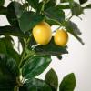 imageSullivans Fake Plant Potted Lemon Artificial Tree Indoor 35 ft Faux LifeLike Greenery Plant in Pot 41quot Perfect for Living Room Home and Office Dcor
