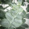 imageSullivans Fake Plant Small Potted Eucalyptus Artificial Tree Indoor 27quot Faux Greenery Plant in Pot Perfect for Living Room Home and Office Dcor