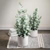 imageSullivans Fake Plant Small Potted Eucalyptus Artificial Tree Indoor 27quot Faux Greenery Plant in Pot Perfect for Living Room Home and Office Dcor