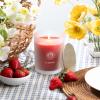 imageSullvans Vance Kitira Scented Candle Single Wick Jar Candles 80 Hour Burn Time 1587 Oz Pear ampamp Citrus Scent  Botanist Green LongLasting Aromatic Glass Candle for Home Dcor ampamp GiftsStrawberry Tangerine