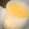 imageSullvans Vance Kitira Scented Candle Single Wick Jar Candles 80 Hour Burn Time 1587 Oz Pear ampamp Citrus Scent  Botanist Green LongLasting Aromatic Glass Candle for Home Dcor ampamp GiftsPeach