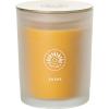 imageSullvans Vance Kitira Scented Candle Single Wick Jar Candles 80 Hour Burn Time 1587 Oz Pear ampamp Citrus Scent  Botanist Green LongLasting Aromatic Glass Candle for Home Dcor ampamp GiftsApple Citrus