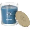 imageSullvans Vance Kitira Scented Candle Single Wick Jar Candles 80 Hour Burn Time 1587 Oz Pear ampamp Citrus Scent  Botanist Green LongLasting Aromatic Glass Candle for Home Dcor ampamp GiftsMint Coconut