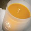 imageSullvans Vance Kitira Scented Candle Single Wick Jar Candles 80 Hour Burn Time 1587 Oz Pear ampamp Citrus Scent  Botanist Green LongLasting Aromatic Glass Candle for Home Dcor ampamp GiftsApple Citrus