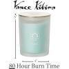 imageSullvans Vance Kitira Scented Candle Single Wick Jar Candles 80 Hour Burn Time 1587 Oz Pear ampamp Citrus Scent  Botanist Green LongLasting Aromatic Glass Candle for Home Dcor ampamp GiftsCactus Lemon