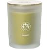 imageSullvans Vance Kitira Scented Candle Single Wick Jar Candles 80 Hour Burn Time 1587 Oz Pear ampamp Citrus Scent  Botanist Green LongLasting Aromatic Glass Candle for Home Dcor ampamp GiftsPear Citrus