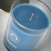 imageSullvans Vance Kitira Scented Candle Single Wick Jar Candles 80 Hour Burn Time 1587 Oz Pear ampamp Citrus Scent  Botanist Green LongLasting Aromatic Glass Candle for Home Dcor ampamp GiftsMint Coconut