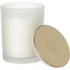 imageSullvans Vance Kitira Scented Candle Single Wick Jar Candles 80 Hour Burn Time 1587 Oz Pear ampamp Citrus Scent  Botanist Green LongLasting Aromatic Glass Candle for Home Dcor ampamp GiftsLemon Lime