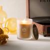 imageSullvans Vance Kitira Scented Candle Single Wick Jar Candles 80 Hour Burn Time 1587 Oz Pear ampamp Citrus Scent  Botanist Green LongLasting Aromatic Glass Candle for Home Dcor ampamp GiftsApple Citrus