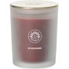 imageSullvans Vance Kitira Scented Candle Single Wick Jar Candles 80 Hour Burn Time 1587 Oz Pear ampamp Citrus Scent  Botanist Green LongLasting Aromatic Glass Candle for Home Dcor ampamp GiftsRaspberry Rose