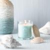 imageSullvans Vance Kitira Scented Candle Single Wick Jar Candles 80 Hour Burn Time 1587 Oz Pear ampamp Citrus Scent  Botanist Green LongLasting Aromatic Glass Candle for Home Dcor ampamp GiftsCactus Lemon