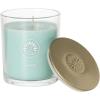 imageSullvans Vance Kitira Scented Candle Single Wick Jar Candles 80 Hour Burn Time 1587 Oz Pear ampamp Citrus Scent  Botanist Green LongLasting Aromatic Glass Candle for Home Dcor ampamp GiftsCactus Lemon