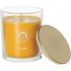 imageSullvans Vance Kitira Scented Candle Single Wick Jar Candles 80 Hour Burn Time 1587 Oz Pear ampamp Citrus Scent  Botanist Green LongLasting Aromatic Glass Candle for Home Dcor ampamp GiftsApple Citrus