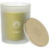 imageSullvans Vance Kitira Scented Candle Single Wick Jar Candles 80 Hour Burn Time 1587 Oz Pear ampamp Citrus Scent  Botanist Green LongLasting Aromatic Glass Candle for Home Dcor ampamp GiftsPear Citrus