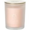 imageSullvans Vance Kitira Scented Candle Single Wick Jar Candles 80 Hour Burn Time 1587 Oz Pear ampamp Citrus Scent  Botanist Green LongLasting Aromatic Glass Candle for Home Dcor ampamp GiftsCitrus Blend