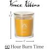 imageSullvans Vance Kitira Scented Candle Single Wick Jar Candles 80 Hour Burn Time 1587 Oz Pear ampamp Citrus Scent  Botanist Green LongLasting Aromatic Glass Candle for Home Dcor ampamp GiftsApple Citrus