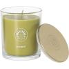imageSullvans Vance Kitira Scented Candle Single Wick Jar Candles 80 Hour Burn Time 1587 Oz Pear ampamp Citrus Scent  Botanist Green LongLasting Aromatic Glass Candle for Home Dcor ampamp GiftsPear Citrus