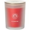 imageSullvans Vance Kitira Scented Candle Single Wick Jar Candles 80 Hour Burn Time 1587 Oz Pear ampamp Citrus Scent  Botanist Green LongLasting Aromatic Glass Candle for Home Dcor ampamp GiftsStrawberry Tangerine