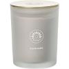 imageSullvans Vance Kitira Scented Candle Single Wick Jar Candles 80 Hour Burn Time 1587 Oz Pear ampamp Citrus Scent  Botanist Green LongLasting Aromatic Glass Candle for Home Dcor ampamp GiftsMandarin Leather