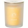 imageSullvans Vance Kitira Scented Candle Single Wick Jar Candles 80 Hour Burn Time 1587 Oz Pear ampamp Citrus Scent  Botanist Green LongLasting Aromatic Glass Candle for Home Dcor ampamp GiftsPeach