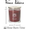 imageSullvans Vance Kitira Scented Candle Single Wick Jar Candles 80 Hour Burn Time 1587 Oz Pear ampamp Citrus Scent  Botanist Green LongLasting Aromatic Glass Candle for Home Dcor ampamp GiftsRaspberry Rose