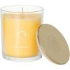 imageSullvans Vance Kitira Scented Candle Single Wick Jar Candles 80 Hour Burn Time 1587 Oz Pear ampamp Citrus Scent  Botanist Green LongLasting Aromatic Glass Candle for Home Dcor ampamp GiftsPeach