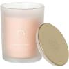 imageSullvans Vance Kitira Scented Candle Single Wick Jar Candles 80 Hour Burn Time 1587 Oz Pear ampamp Citrus Scent  Botanist Green LongLasting Aromatic Glass Candle for Home Dcor ampamp GiftsCitrus Blend