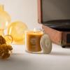 imageSullvans Vance Kitira Scented Candle Single Wick Jar Candles 80 Hour Burn Time 1587 Oz Pear ampamp Citrus Scent  Botanist Green LongLasting Aromatic Glass Candle for Home Dcor ampamp GiftsApple Citrus