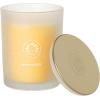 imageSullvans Vance Kitira Scented Candle Single Wick Jar Candles 80 Hour Burn Time 1587 Oz Pear ampamp Citrus Scent  Botanist Green LongLasting Aromatic Glass Candle for Home Dcor ampamp GiftsPeach