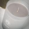 imageSullvans Vance Kitira Scented Candle Single Wick Jar Candles 80 Hour Burn Time 1587 Oz Pear ampamp Citrus Scent  Botanist Green LongLasting Aromatic Glass Candle for Home Dcor ampamp GiftsMandarin Leather