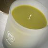 imageSullvans Vance Kitira Scented Candle Single Wick Jar Candles 80 Hour Burn Time 1587 Oz Pear ampamp Citrus Scent  Botanist Green LongLasting Aromatic Glass Candle for Home Dcor ampamp GiftsPear Citrus
