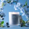 imageSullvans Vance Kitira Scented Candle Single Wick Jar Candles 80 Hour Burn Time 1587 Oz Pear ampamp Citrus Scent  Botanist Green LongLasting Aromatic Glass Candle for Home Dcor ampamp GiftsMint Coconut