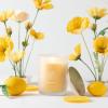 imageSullvans Vance Kitira Scented Candle Single Wick Jar Candles 80 Hour Burn Time 1587 Oz Pear ampamp Citrus Scent  Botanist Green LongLasting Aromatic Glass Candle for Home Dcor ampamp GiftsPeach