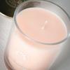 imageSullvans Vance Kitira Scented Candle Single Wick Jar Candles 80 Hour Burn Time 1587 Oz Pear ampamp Citrus Scent  Botanist Green LongLasting Aromatic Glass Candle for Home Dcor ampamp GiftsCitrus Blend