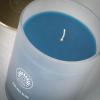 imageSullvans Vance Kitira Scented Candle Single Wick Jar Candles 80 Hour Burn Time 1587 Oz Pear ampamp Citrus Scent  Botanist Green LongLasting Aromatic Glass Candle for Home Dcor ampamp GiftsMint Coconut