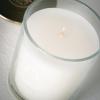 imageSullvans Vance Kitira Scented Candle Single Wick Jar Candles 80 Hour Burn Time 1587 Oz Pear ampamp Citrus Scent  Botanist Green LongLasting Aromatic Glass Candle for Home Dcor ampamp GiftsLemon Lime