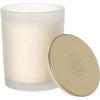 imageSullvans Vance Kitira Scented Candle Single Wick Jar Candles 80 Hour Burn Time 1587 Oz Pear ampamp Citrus Scent  Botanist Green LongLasting Aromatic Glass Candle for Home Dcor ampamp GiftsBerry Citrus